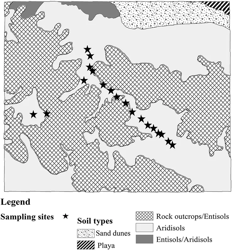 Expanding the applicability of remotely sensed soil evaporation transfer coefficient to the estimation of soil moisture over bare soil and partially vegetated areas