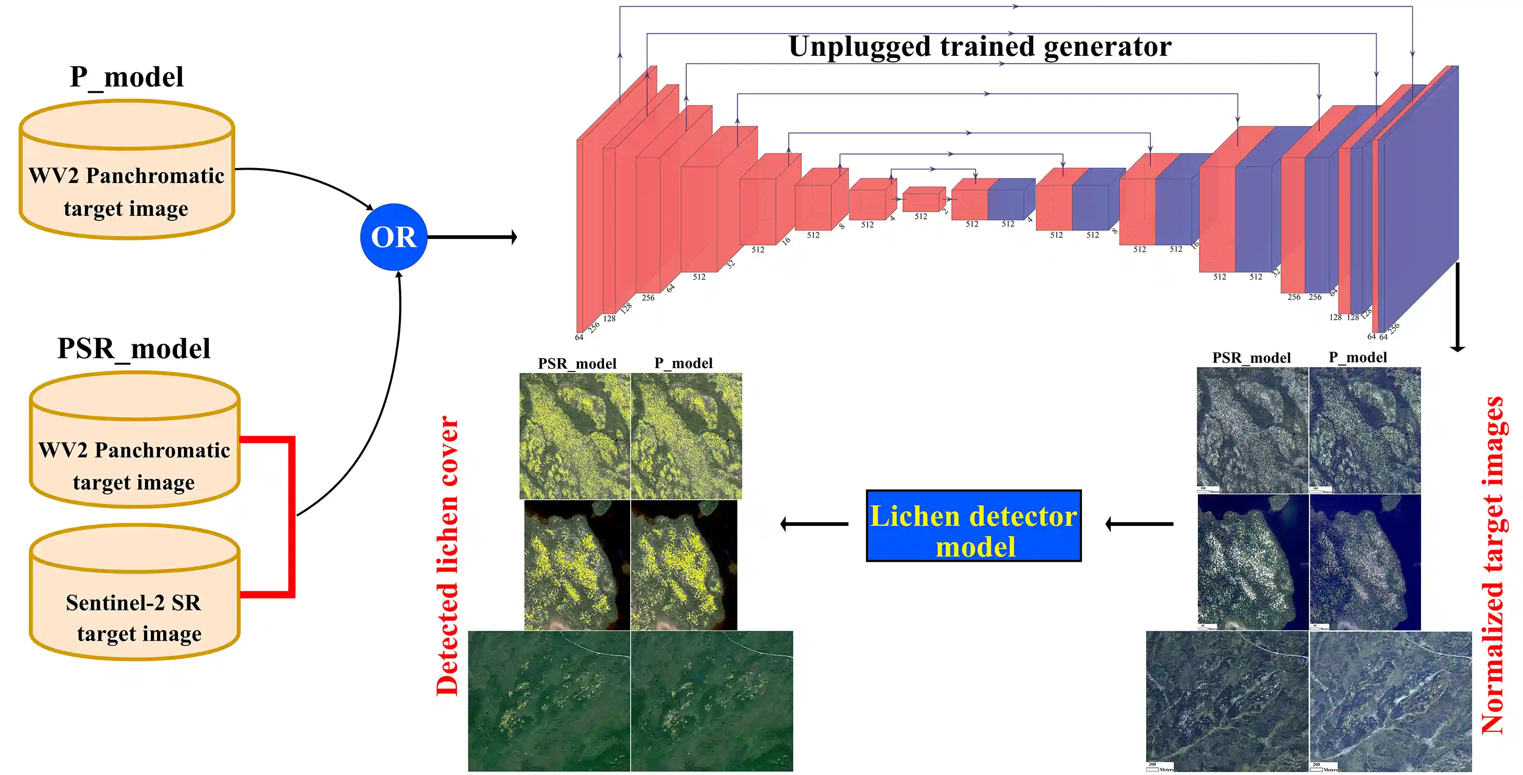 Evaluating Image Normalization via GANs for Environmental Mapping: A Case Study of Lichen Mapping Using High-Resolution Satellite Imagery