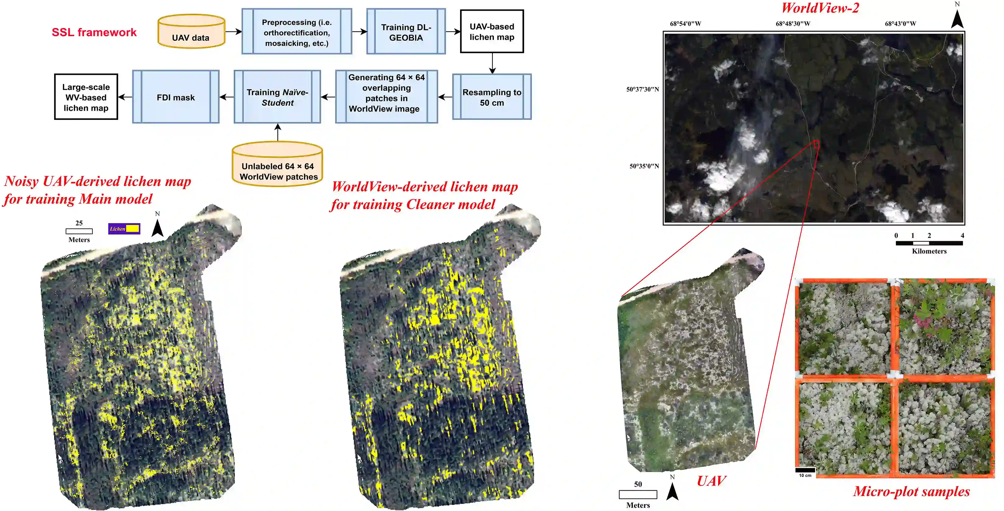 Leveraging deep neural networks to map caribou lichen in high-resolution satellite images based on a small-scale, noisy UAV-derived map