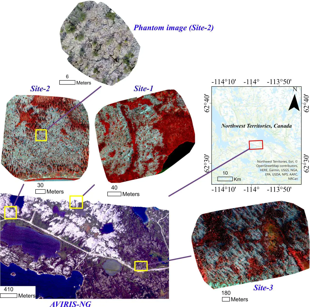 Mapping Caribou Lichen (Cladonia spp.) in Canada’s Taiga Shield Using AVIRIS-NG and UAV Images